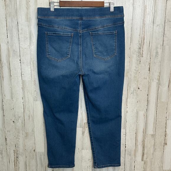 Gloria Vanderbilt Slimming Jeggings Size 14 Jeans Pull On Waist Crop Stretch EUC - Picture 2 of 9